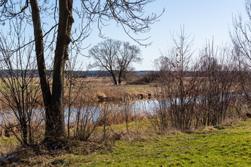 Rzeka Narew. Wiosna nad Narwią. Podlasie. Polska © podlaski49