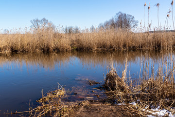 Rzeka Narew. Wiosna nad Narwią. Podlasie. Polska © podlaski49