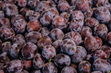Figs for sale at an outdoor market