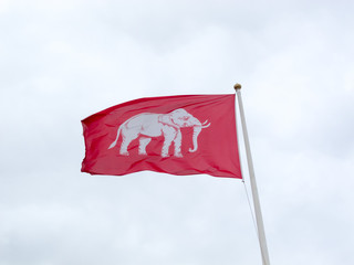 Flag of Siam, white elephant on background of blue sky