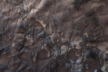 Black real wool with a darktop texture background, dark natural sheep wool, gray seamless cotton, fluffy fur texture for designers, close-up grey wool rug