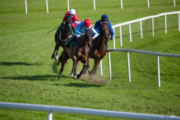 Competing race horses and jockeys taking the final turn before the finish line on the race track, horse racing action