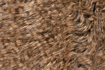 Brown real wool with a dark top texture background, orange natural wool,  fluffy fur texture for designers, close-up  wool rug
