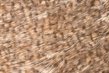 Brown real wool with a dark top texture background, orange natural wool,  fluffy fur texture for designers, close-up  wool rug