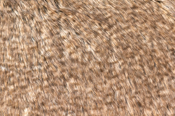 Brown real wool with a dark top texture background, orange natural wool,  fluffy fur texture for designers, close-up  wool rug