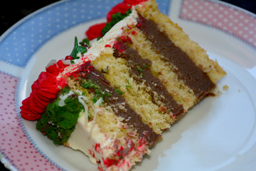 slice of cake stuffed with chocolate ganache and whipped cream