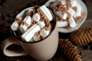 Hot chocolate with marshmallow in a cup