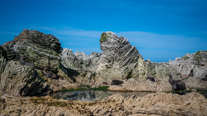 Pancake Rocks, Punakaiki,  New Zealand