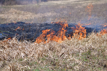 Burning dry grass and leaves after winter in spring village