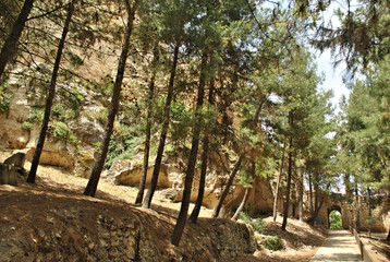 Parque