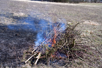 Burning grass and leaves on a meadow in spring