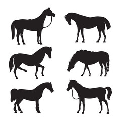 Cute horse in various poses vector design. Collection of animal horses standing, Different silhouette.