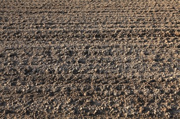Plowed field background and texture. Spring agricultural works before the cereal planting works. Arable land procecing at the agriculture field. Land market