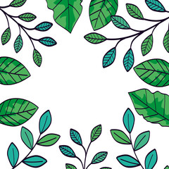 frame of branches with leafs naturals vector illustration design