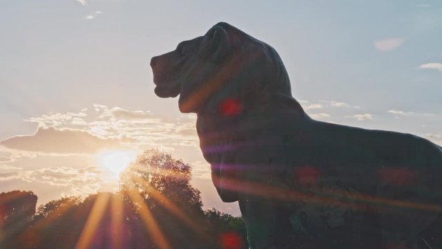 4K Madrid, Retiro Park, sunset, flare and lion sculpture next to the lake
