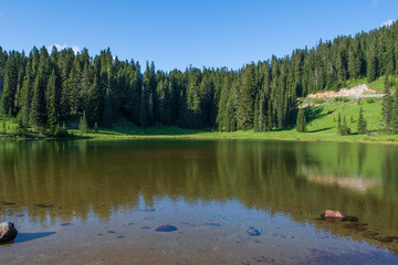 Obraz premium Reflections of the trees at Tipsoo Lake in Mount Rainier National Park in Washington, USA