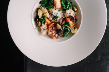 Octopus salad with stracciatella, tomatoes, olives and green basilisk on a plate. Dark table background.