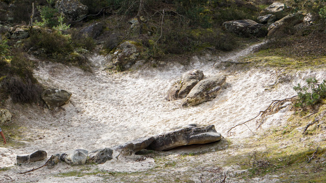 Sable &agrave; Nemours, pr&egrave;s de Fontainebleau en Seine et Marne (France), vestige d'une ancienne mer