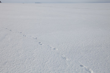 Travel to irkutsk, Russia.