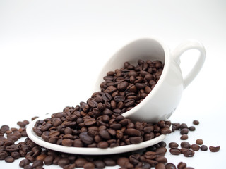 coffee bean in coffee cup on white background