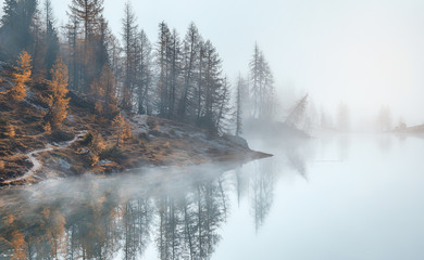 Magical nature landscape. Fantastic view in a foggy morning with  mountain and reflection in Banff National Park, Canada. Awecome natural background. Picture of wild area