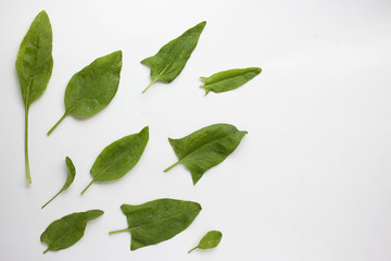 Fresh rocket or arugula and spinach on white background salad greens