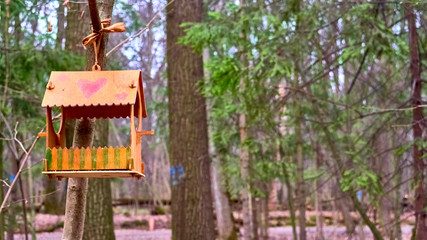 homemade bird feed in moscow