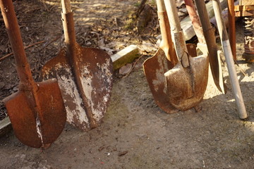 Set of rusty shovels. Old gardening tools