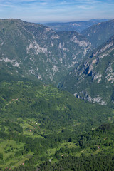 Fototapeta na wymiar Wild high mountains spruce forest in Durmitor national park Montenegro.