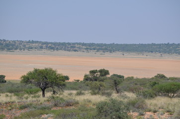 Red sands of the Kalahari in Mabuasehube, Botswana