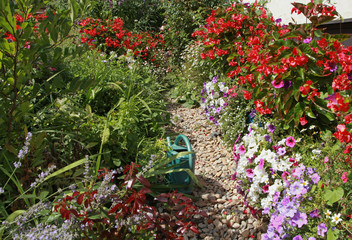 Jardin d'été de nombreuses plantes fleuries