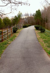 Fototapeta na wymiar Pathway for Walking in Nature