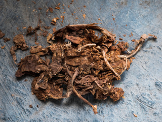Tobacco leaves close-up. Raw tobacco