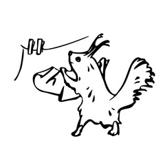 A cute squirrel hangs washed clothes on a rope to dry. Vector illustration in line art style. Isolated on a white background.