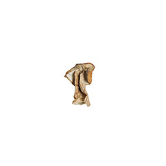Dry white mushroom on a white background. Isolate. Vegan and vegetarian food.