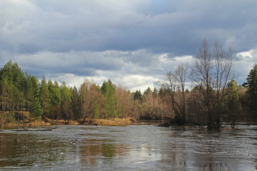 Fototapeta na wymiar River in a delightful spring forest at cloudy evening. Unusual and picturesque scene.