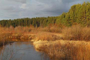 River in a delightful spring forest at cloudy evening. Unusual and picturesque scene.