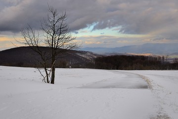 Winter at Velka Javorina, Slovakia, 21 February 2020