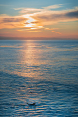Fototapeta na wymiar sunset surfer