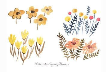 Hand-drawn watercolor spring flowers isolated on the white background. Set of spring meadow plants and flowers on the white background. Field plants collection