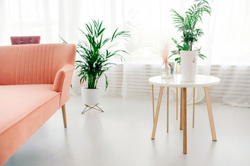 Interior of a white living room with peach furniture, green plants and a mirror