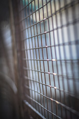 closeup of steel window in cage