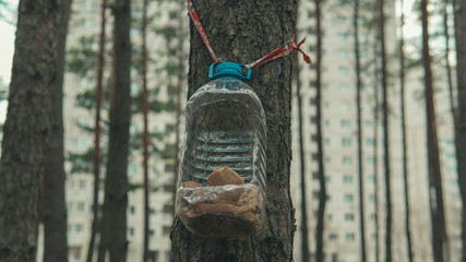 Homemade plastic birdhouse with bread hanging on tree in forest. Close-up of house from large bottle for birds on tree trunk.