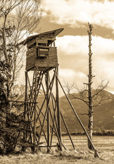Naklejka premium wildlife observation point