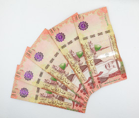 Saudi Arabian 100 Riyal bank note