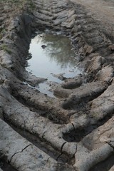 Traktor Spurrille mit Spiegelung