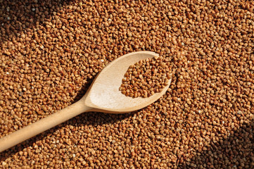 buckwheat on a plate and spoon isolated background