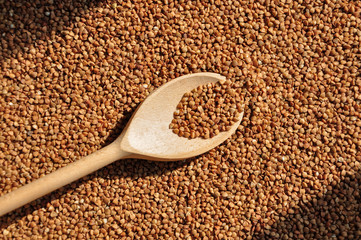 buckwheat on a plate and spoon isolated background