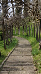path in tuscanian garden
