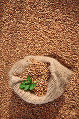 buckwheat on a plate and spoon isolated background